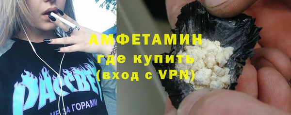 хмурый Аркадак