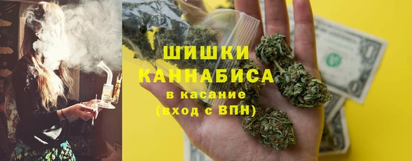 хмурый Аркадак