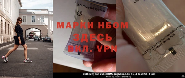 хмурый Аркадак