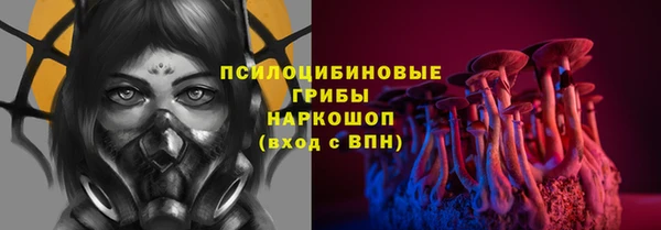 хмурый Аркадак