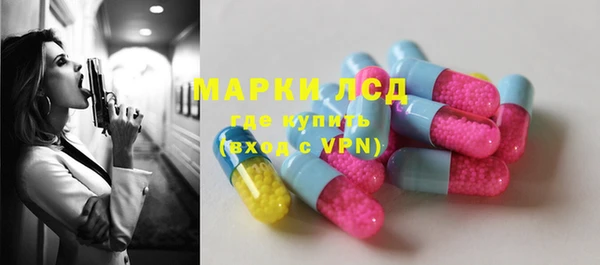 хмурый Аркадак