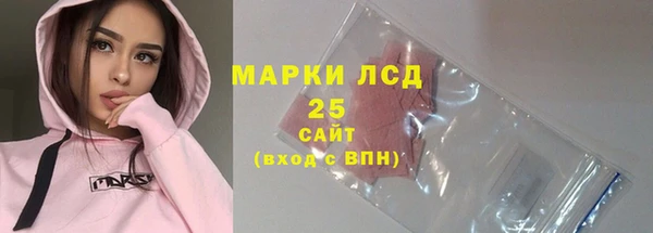 хмурый Аркадак
