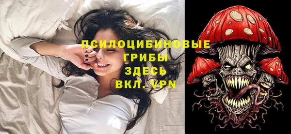 хмурый Аркадак