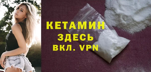 хмурый Аркадак