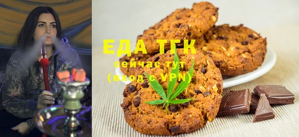 хмурый Аркадак