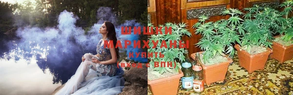 спайс Арсеньев