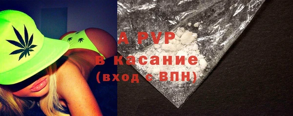 спайс Арсеньев